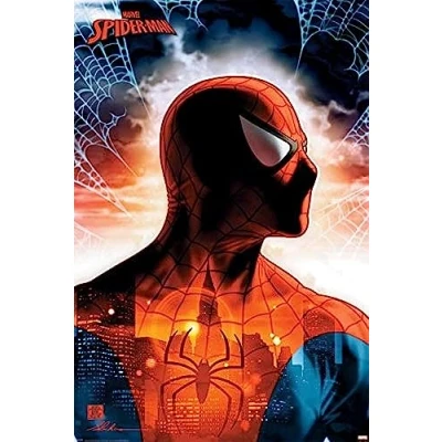 Afbeelding van [Merchandise] Hole in the Wall Marvel Spider Man Maxi Poster