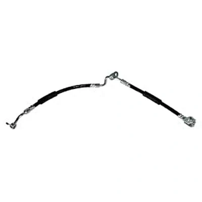 Afbeelding van DELPHI LH6917 Remslang 645 Banjo