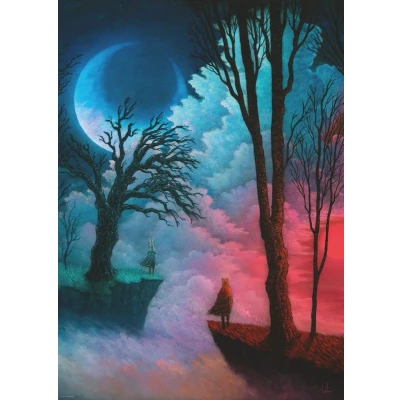Afbeelding van Puzzel Worlds Apart 1000 Heye 29880