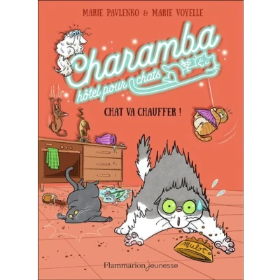 Image de Charamba, hôtel pour chats Chat va chauffer !