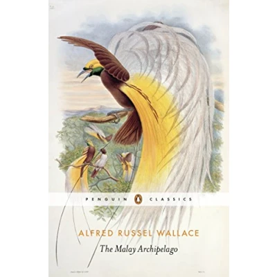 Afbeelding van Malay Archipelago