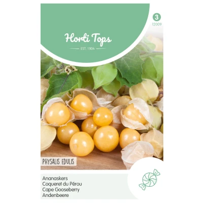 Afbeelding van Ananaskers Physalis Edulis Peruviana Hortitops
