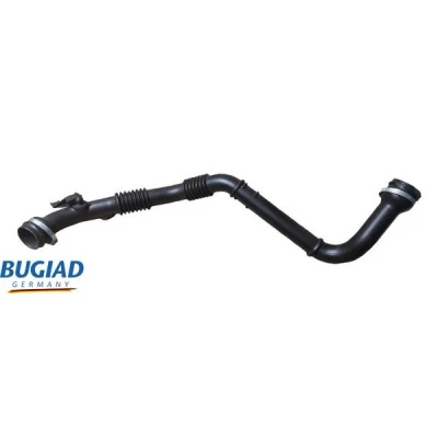 Afbeelding van BUGIAD 82466 Laadluchtslang Met bellen RENAULT: Kangoo II Express, / Grand