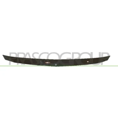 Afbeelding van PRASCO DA3222206 Sier / Beschermingspaneel, radiateurgrille