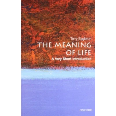 Afbeelding van VSI Meaning Of Life