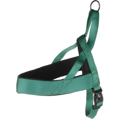 Afbeelding van Flamingo Abbi Noors Harnas Honden Groen M 50 65cm 20mm 1st 190721