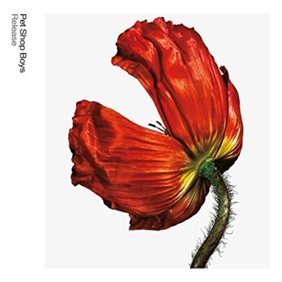 Afbeelding van Pet Shop Boys Release: Further..