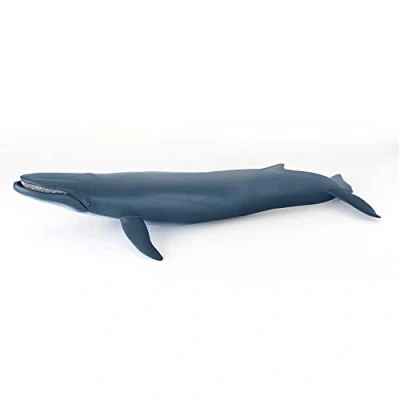 Afbeelding van Papo Verzamelfiguren Walvis Zeedieren Zeewereld Kinderen meisjes en jongens vanaf 3 jaar