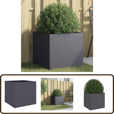 Afbeelding van Plantenbak 49x47x46 cm koudgewalst staal antracietkleurig