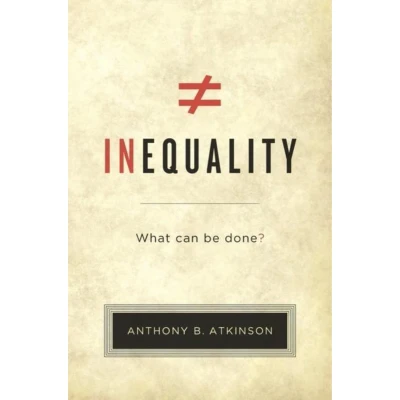 Afbeelding van Inequality What Can Be Done