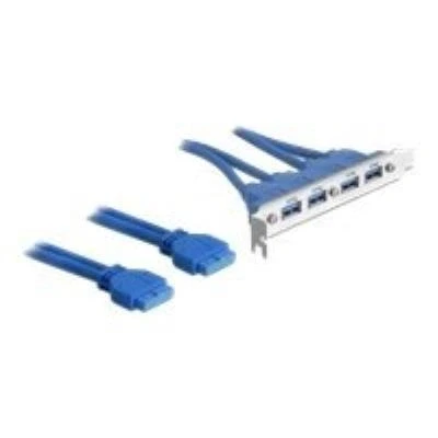 Image de DeLOCK Slot bracket panneau USB 40 cm