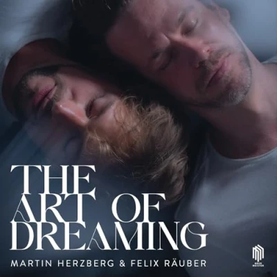 Afbeelding van Martin &amp; Felix Rauber Herzberg The Art of Dreaming (LP)