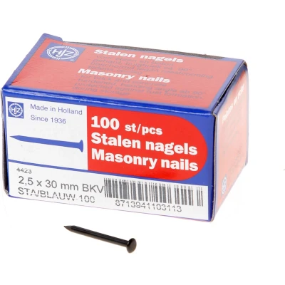 Afbeelding van Hjz Stalen nagel bombe kop 30 x 2.5mm