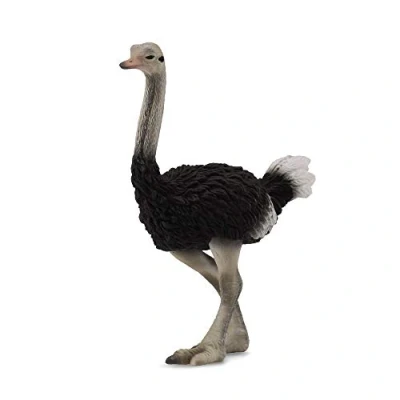 Afbeelding van COLLECTA Struisvogel (L)