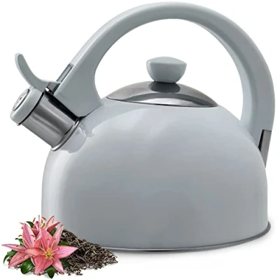 Afbeelding van KADAX Waterkoker van roestvrij staal, 1,7 liter, verschillende kleuren, voor alle warmtebronnen, retro waterkoker, grijs
