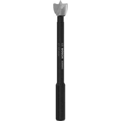 Afbeelding van Bosch Accessories 2608901821 Forstnerboor 10 mm Gezamenlijke lengte 88 1 stuk(s)