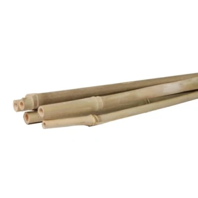 Afbeelding van Talen Tools Bamboestok 150 cm naturel 4 stuks