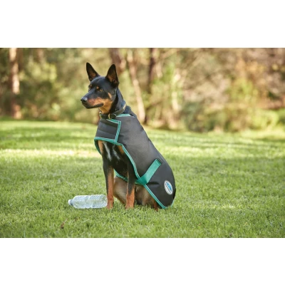 Image de Weatherbeeta Veste pour Chien Green Tec 900D Coat Lite Plus Noir/Bottle Vert 45cm