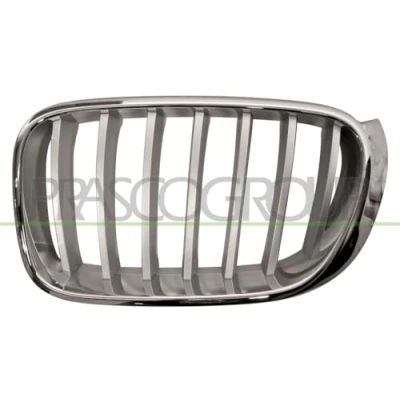 Afbeelding van PRASCO BM8062014 Grille Auto Links Verchroomd BMW: X3
