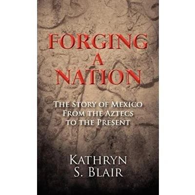 Afbeelding van Forging a Nation