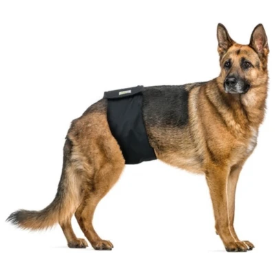 Afbeelding van Vetlando Plasband voor Reuen S 20 51 cm