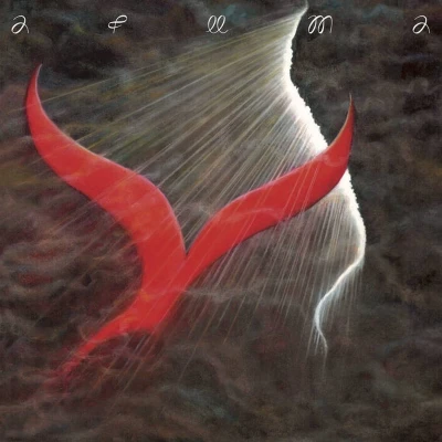 Afbeelding van Afuma Songs From The Shore (LP)