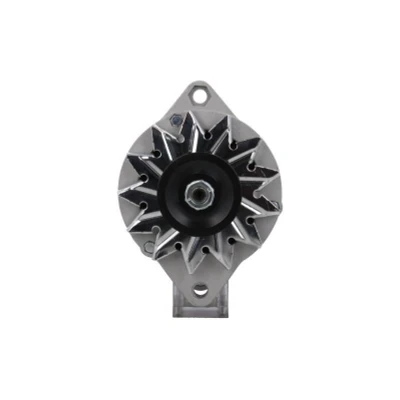 Afbeelding van CV PSH 105.012.055.050 Dynamo / Alternator 12V 55A FIAT: Ducato I Van, Panorama