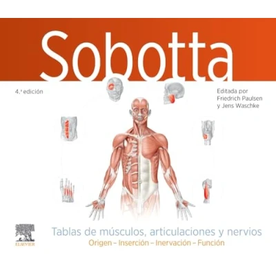 Afbeelding van Sobotta. Tablas de músculos, articulaciones y nervios