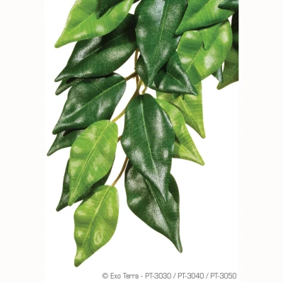 Afbeelding van Exo Terra Rainforest Plant Ficus Kunstplanten Medium