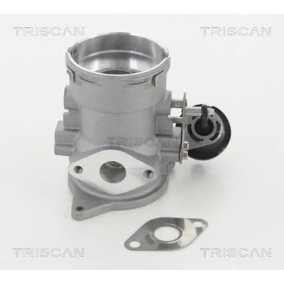 Afbeelding van Triscan EGR klep 8813 29056
