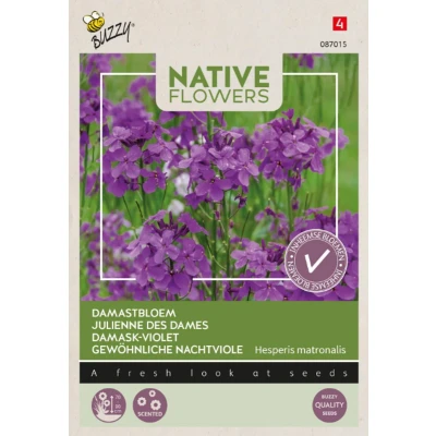 Afbeelding van Zaden damastbloem 0,25g Buzzy