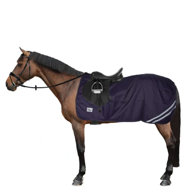 Afbeelding van Harry&#039;s Horse Uitrijdeken Wodan 0g Fleece Dress Blues M