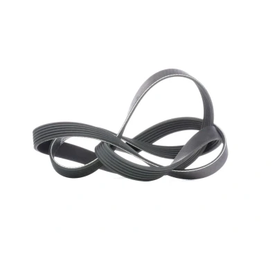 Afbeelding van Gates Poly V riem 6PK1795