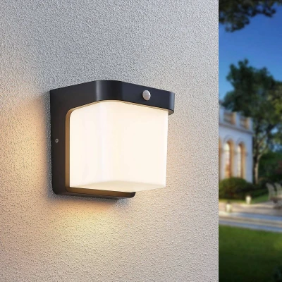 Afbeelding van LED buitenwandlamp Adenike met sensor