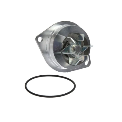 Afbeelding van HEPU P891 Waterpomp 19 Met pakking Mechanisch PEUGEOT: 207 Hatchback, 206 307 CITROËN: C4 I Berlingo II