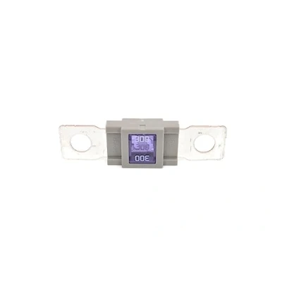 Afbeelding van BOSCH 1 987 531 007 Zekering 300A 32V