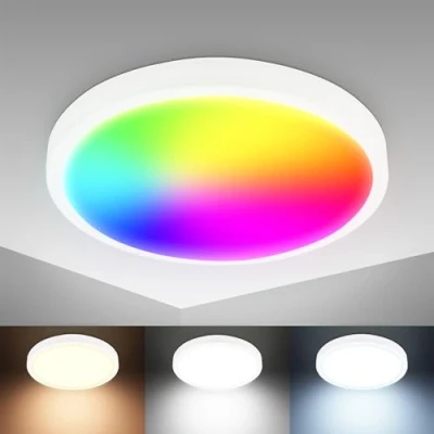 Afbeelding van B.K.Licht Slimme LED Plafondlamp met app bediening dimbaar WiFi instelbare kleurtemperatuur Ø27cm