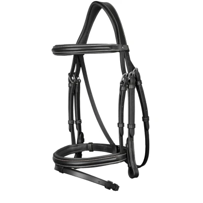 Image de Dyon bridle Flash