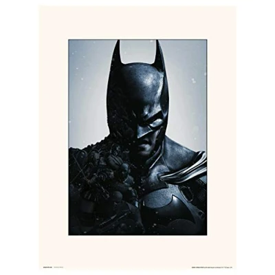 Afbeelding van DC Comics: Batman Arkham Origins Print