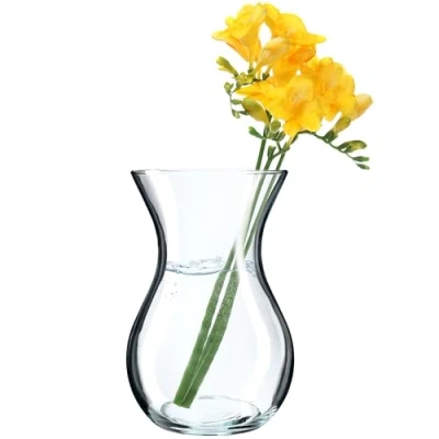 Afbeelding van KADAX transparante glazen bloemenvaas 18 cm, diameter 8 met een hals van 11 tafelvaas, decoratieve vaas voor woonkamer (18 cm/1 stuk)