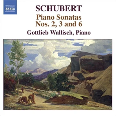 Afbeelding van Gottlieb Wallisch Early Piano Sonatas (CD)