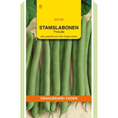 Afbeelding van Stamslabonen prelude 100gr