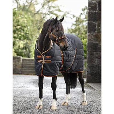Image de Rambo Stable (Embossed Lining)
