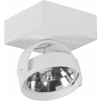 Afbeelding van Artdelight plafondlamp Dutchess 1L Square wit led 15W 2200K 3000K IP20 Dim To Warm &gt; spots spotjes verlichting opbouwspot lamp