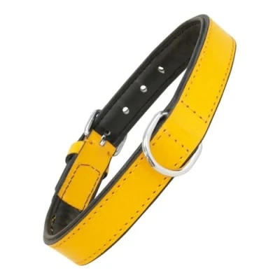 Afbeelding van Dog collar Gloria Padded Yellow (35 x 1,5 cm)