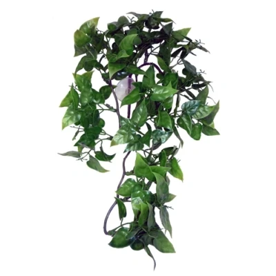 Afbeelding van Komodo Philodendron Plant 30 CM (73941)