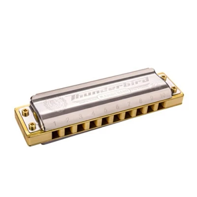 Afbeelding van Hohner Marine Band &#039;Thunderbird&#039; Low C Diatonische mondharmonica