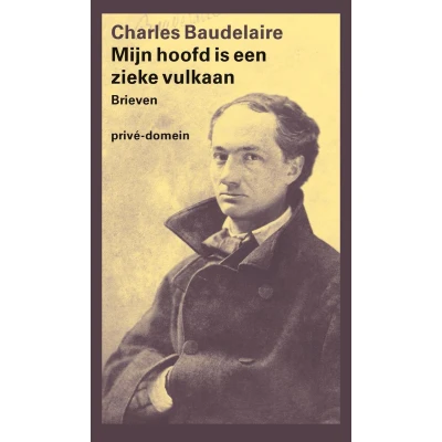 Afbeelding van Mijn hoofd is een zieke vulkaan