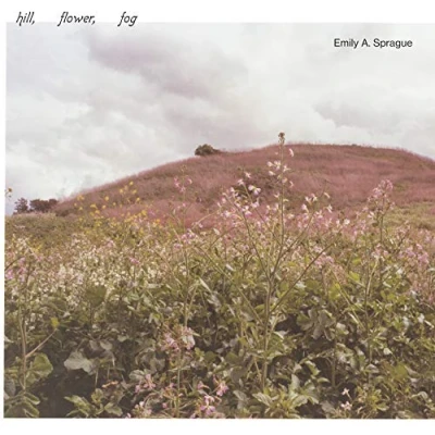 Afbeelding van Emily A. Sprague Hill, Flower, Fog (LP)