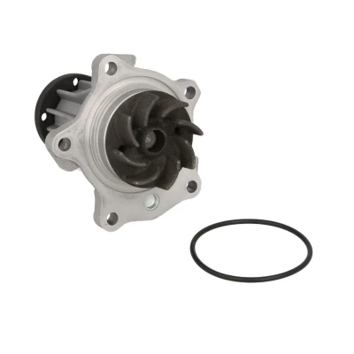 Afbeelding van HEPU P220 Waterpomp Met pakking flens Mechanisch FORD: SCORPIO 1, Transit Mk6 Platform / Chassis, Mk5 Van